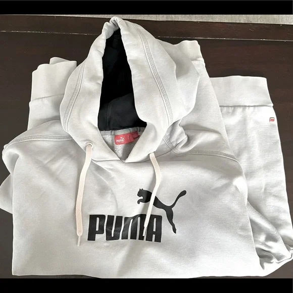 Men’s Puma Hooded Sweatshirt - Picture 1 of 5